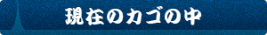 現在のカゴの中